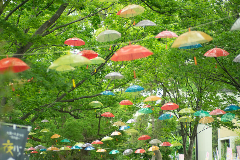 傘の森イメージ