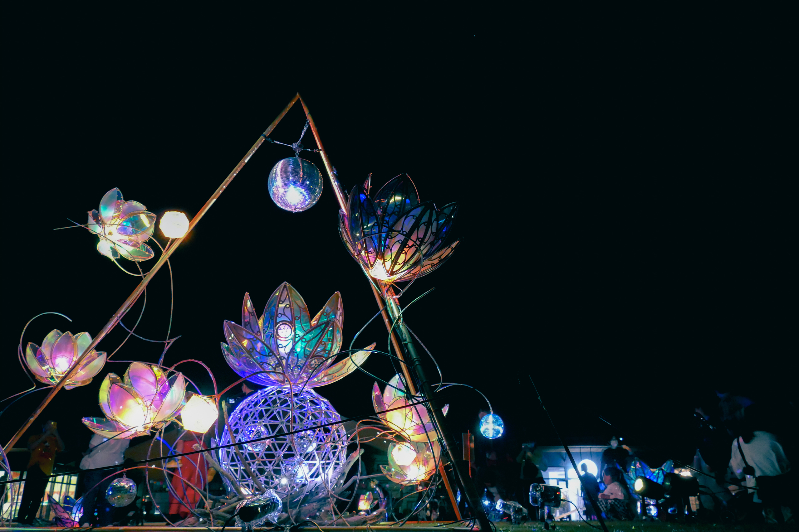 2024 | YohaS 夜ハス／大賀ハスまつり夜の部 千葉公園