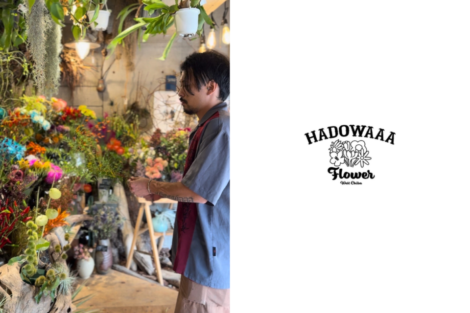 アーティスト　HADOWAAAイメージ